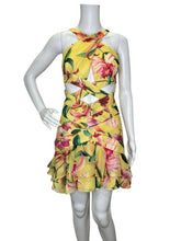 Load image into Gallery viewer, NWT Laelia Cross Front Mini Dress
