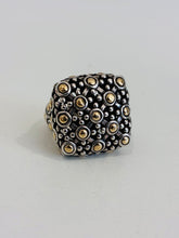 Load image into Gallery viewer, Jaisalmer Dot 925/18K Ring