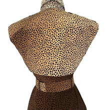 Load image into Gallery viewer, Pre-Fall 2010 Leopard Print Dress (Gossip Girl)