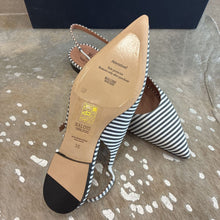Load image into Gallery viewer, NIB Karla Pointed Toe Flats