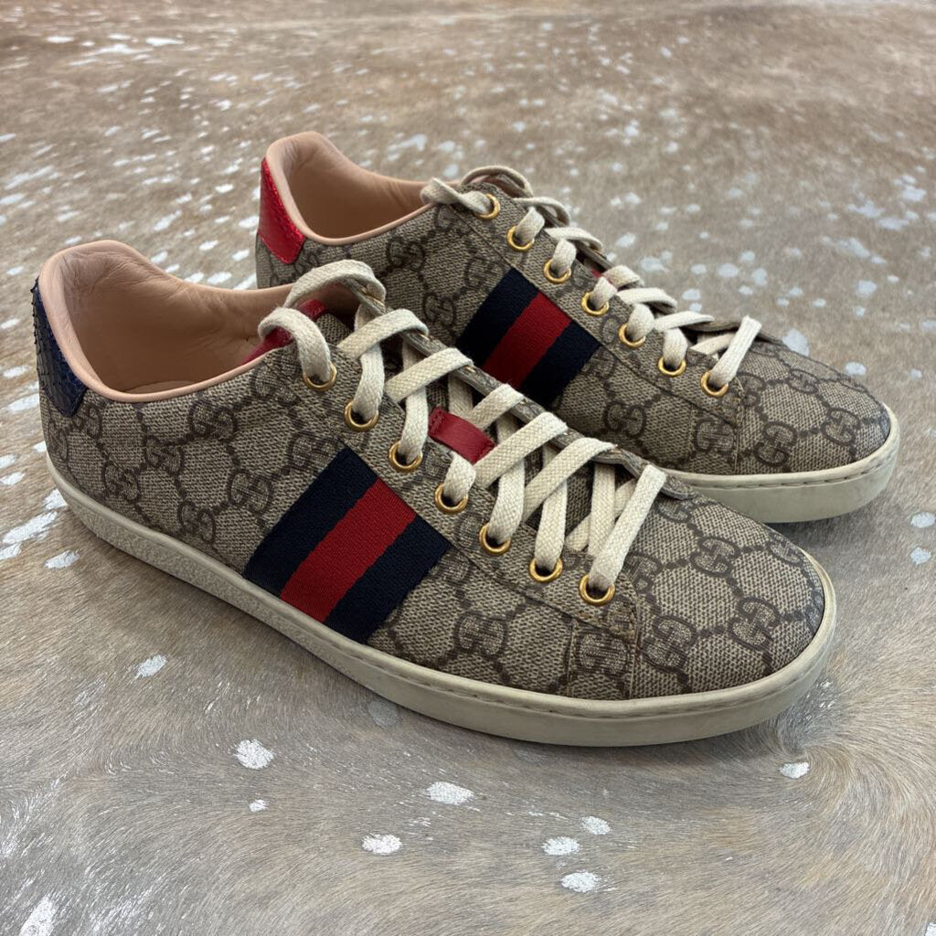 ACE Supreme Sneaker With Web