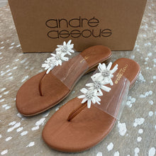 Load image into Gallery viewer, NIB Nadine 3 Flower Thong Sandals
