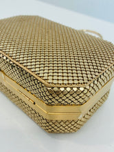 Load image into Gallery viewer, Mesh Minaudiere
