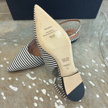 Load image into Gallery viewer, NIB Karla Pointed Toe Flats
