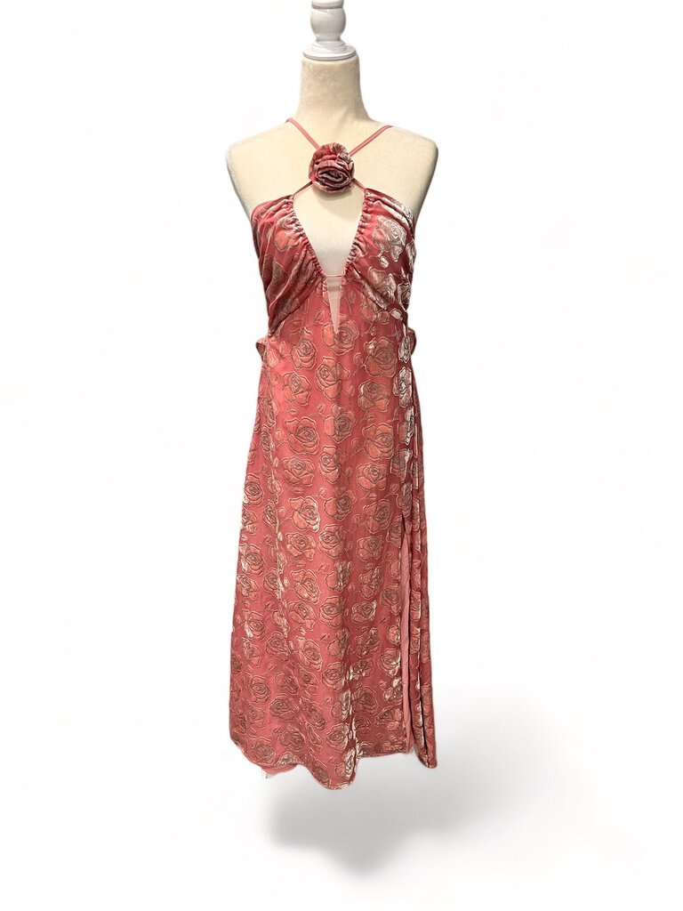 NWOT Raya Maxi Dress Retail $370