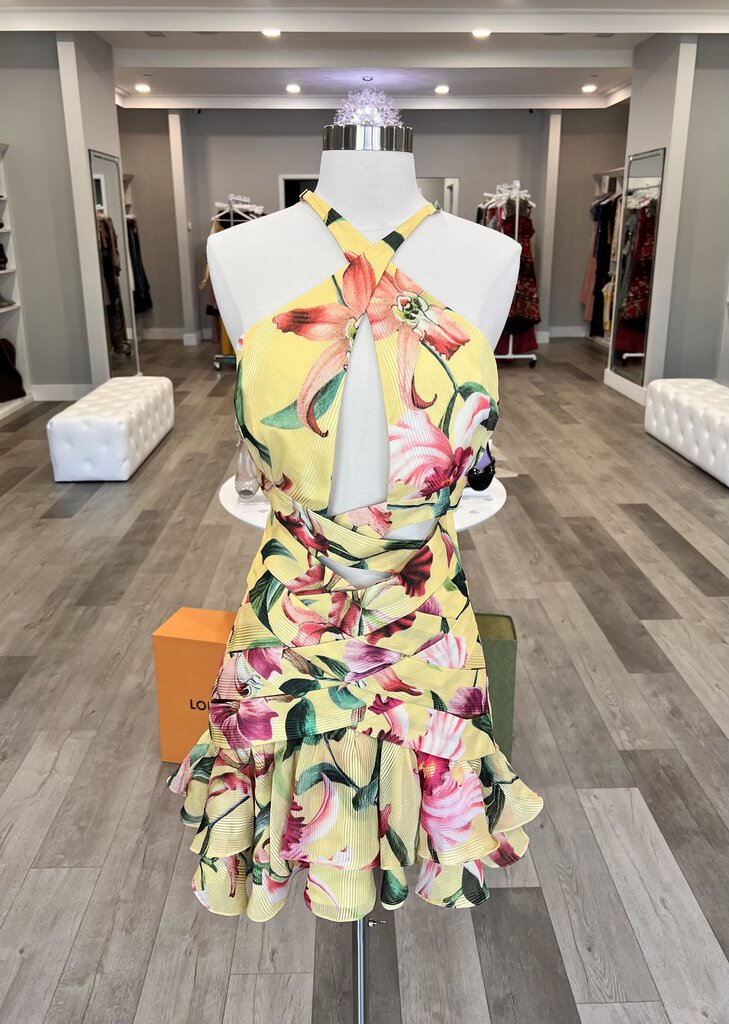 NWT Laelia Cross Front Mini Dress Retail $650